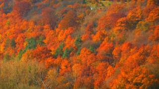 Balade dans une nature authentique