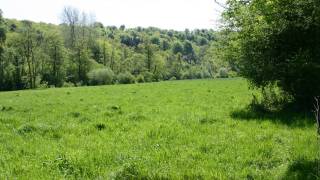 Terrain pour camp scouts à DOURBES, Viroinval,  Près de l’église