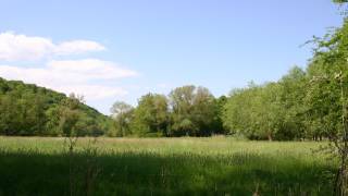 Terrain pour camp scouts à DOURBES, Viroinval,  Près de l’église