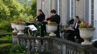 concert lors d'un mariage