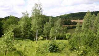 Balade dans une nature authentique