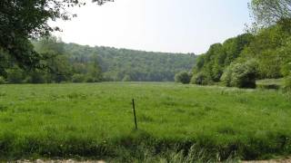 Terrain pour camp scouts à DOURBES, Viroinval,  Pont Baugnies