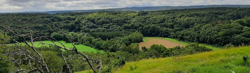 Dourbes, Roche à Lomme