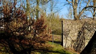  Dourbes :de tuin in februari