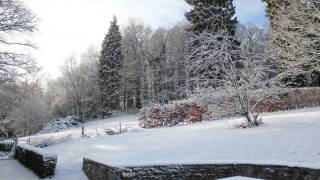  Dourbes :De tuin onder de sneeuw